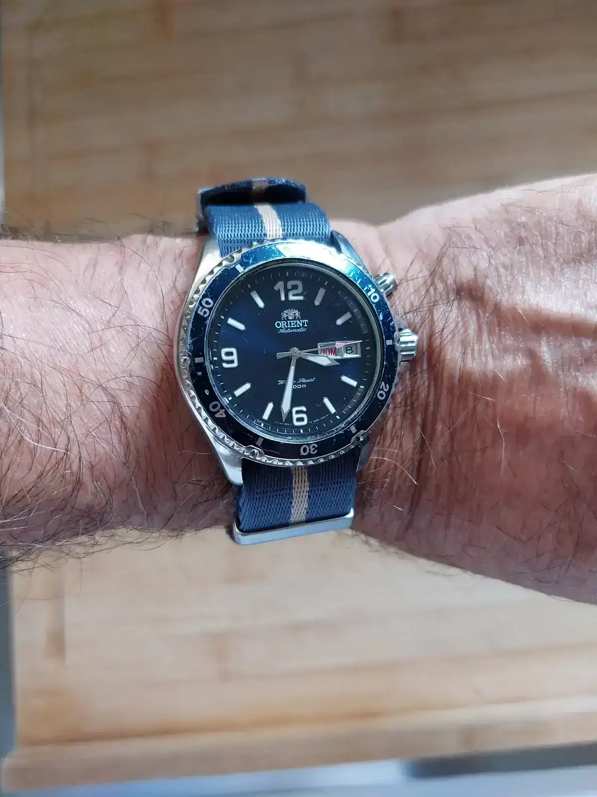 orient mako I 2.webp