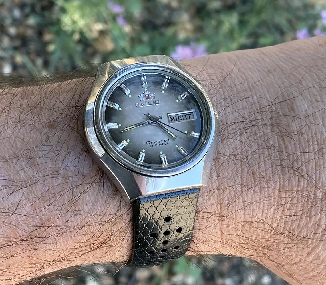 ORIENT_IMG_9513 1200PX.webp