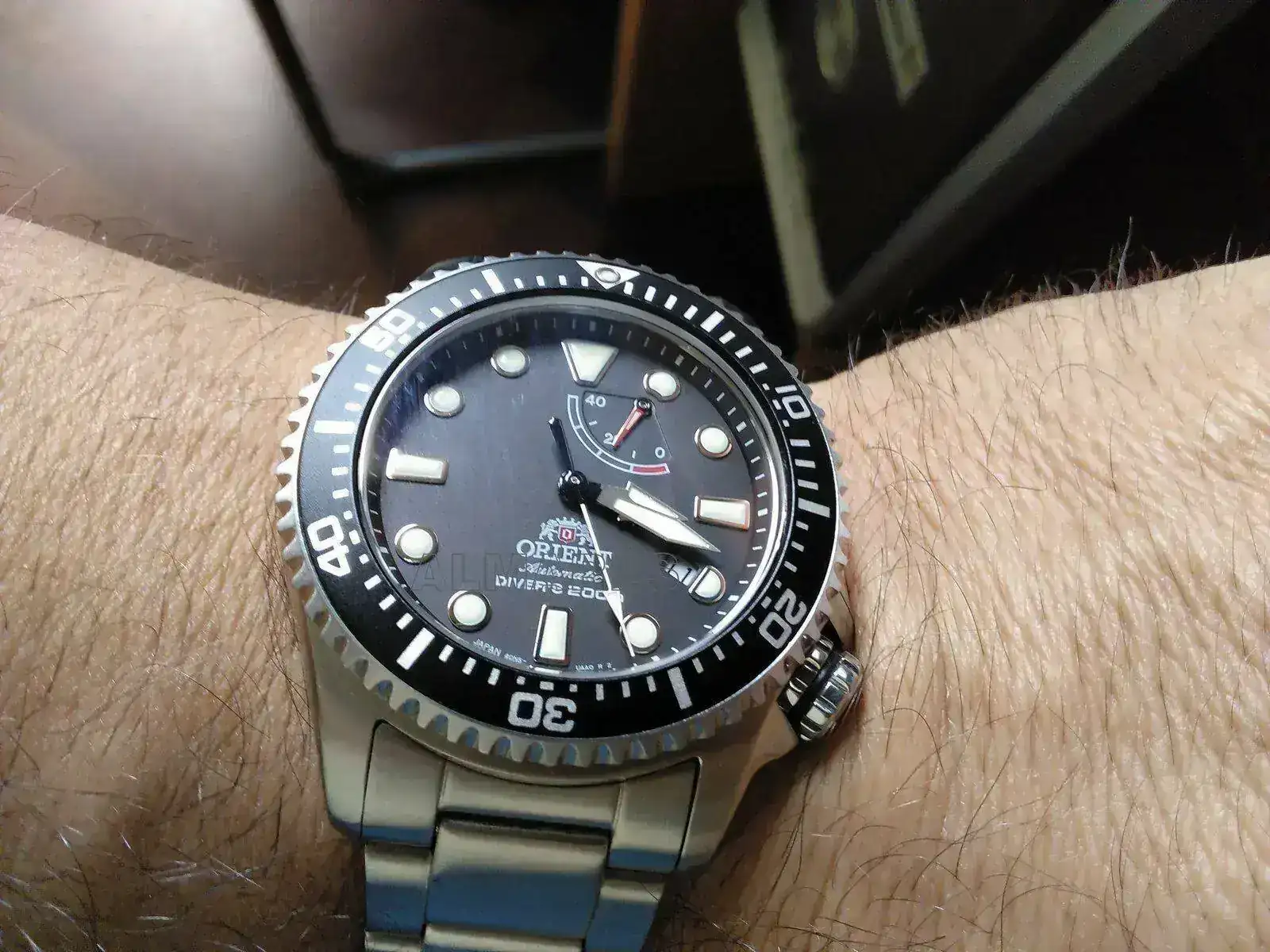 orienttritón11 (3).webp