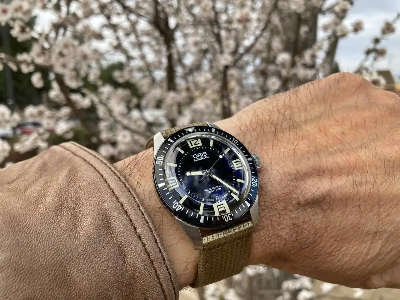 Oris-11.webp