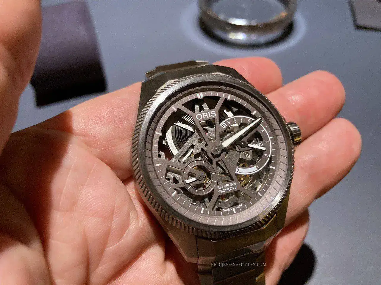 Oris-6.JPG