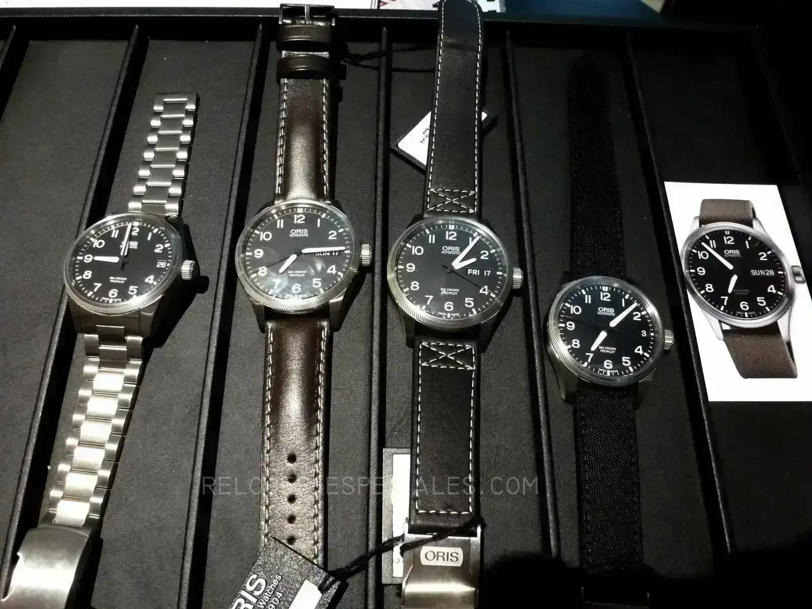 oris-991.webp