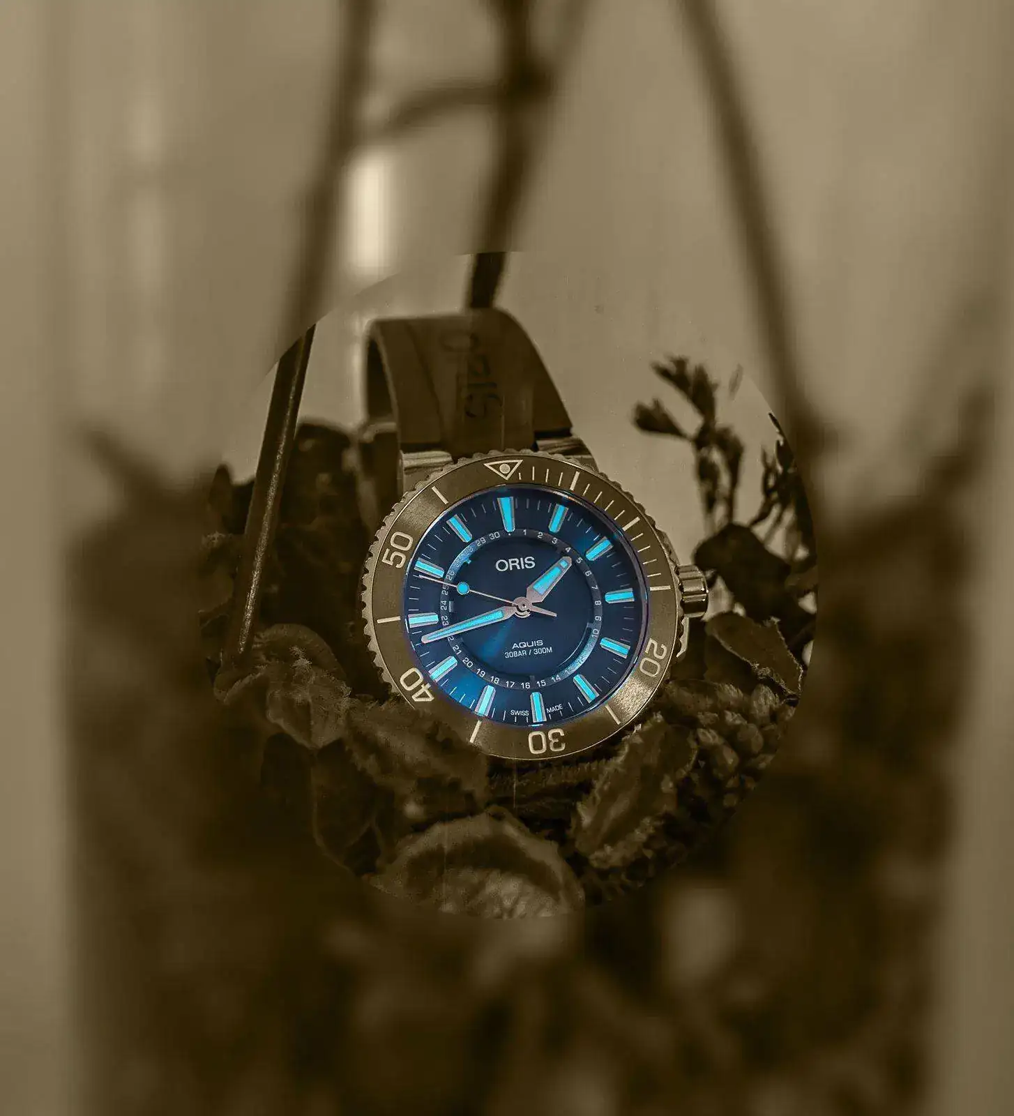 ORIS-bn.webp