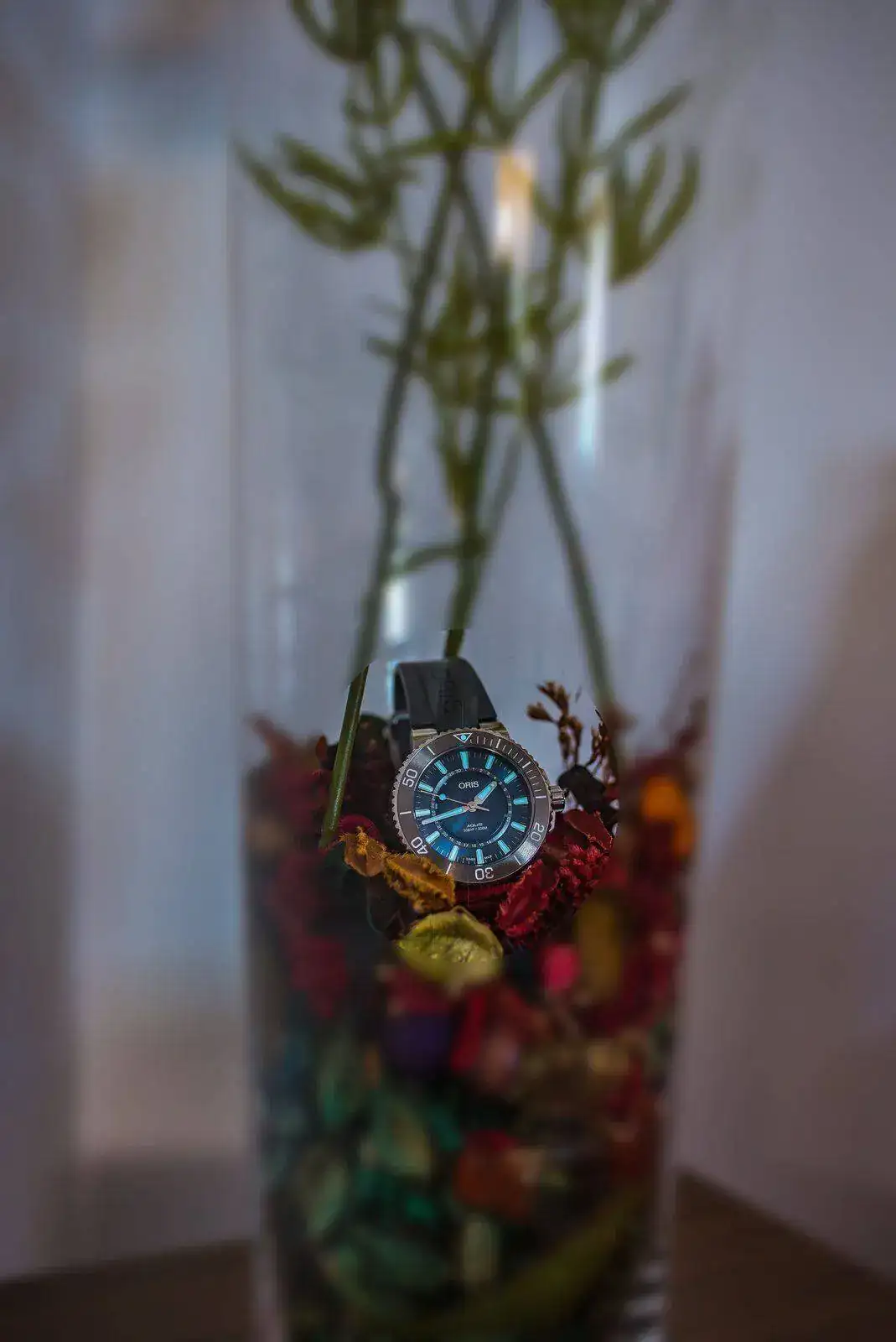 ORIS-desenfoque.webp