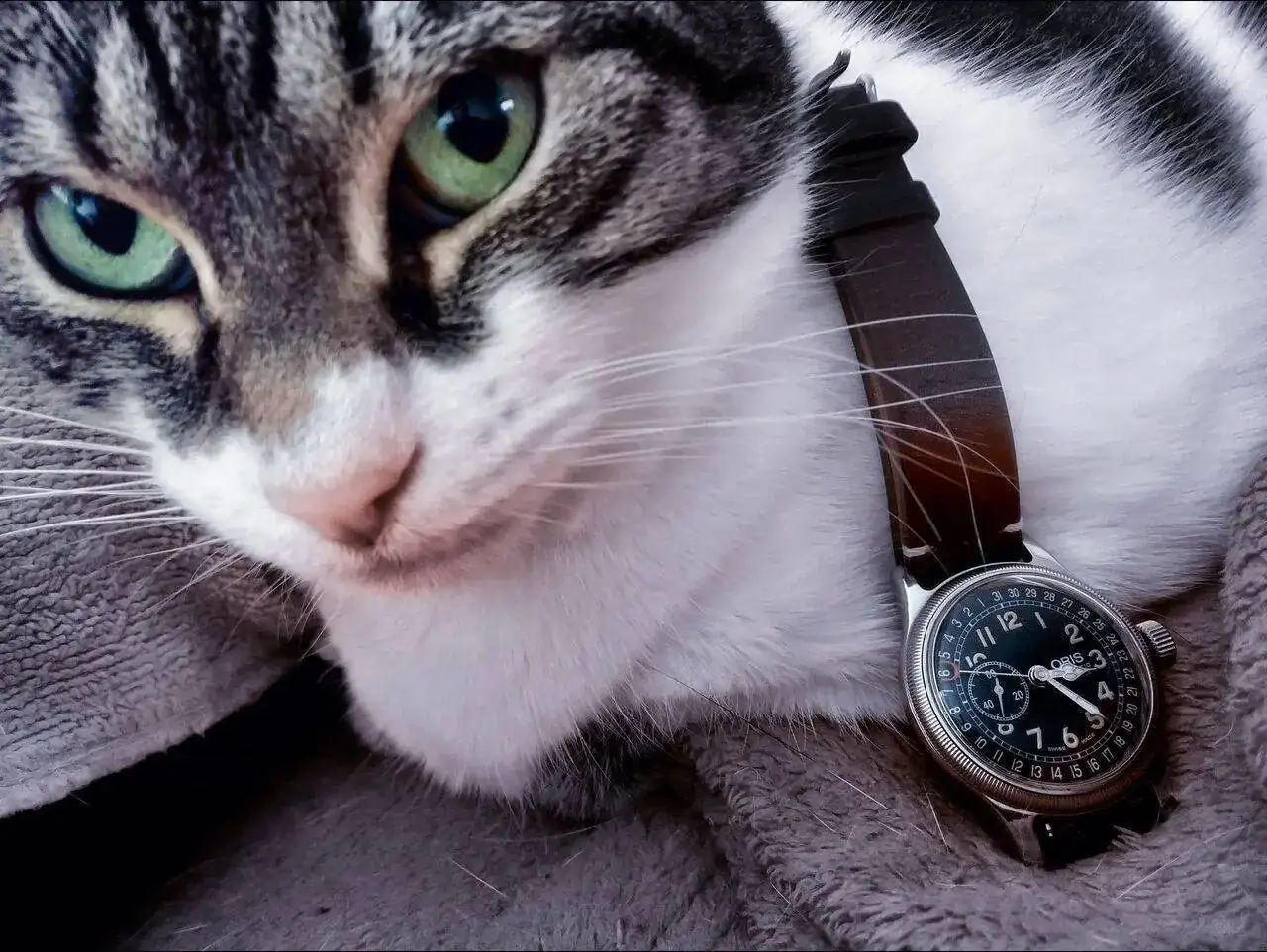 Oris-Kira.webp