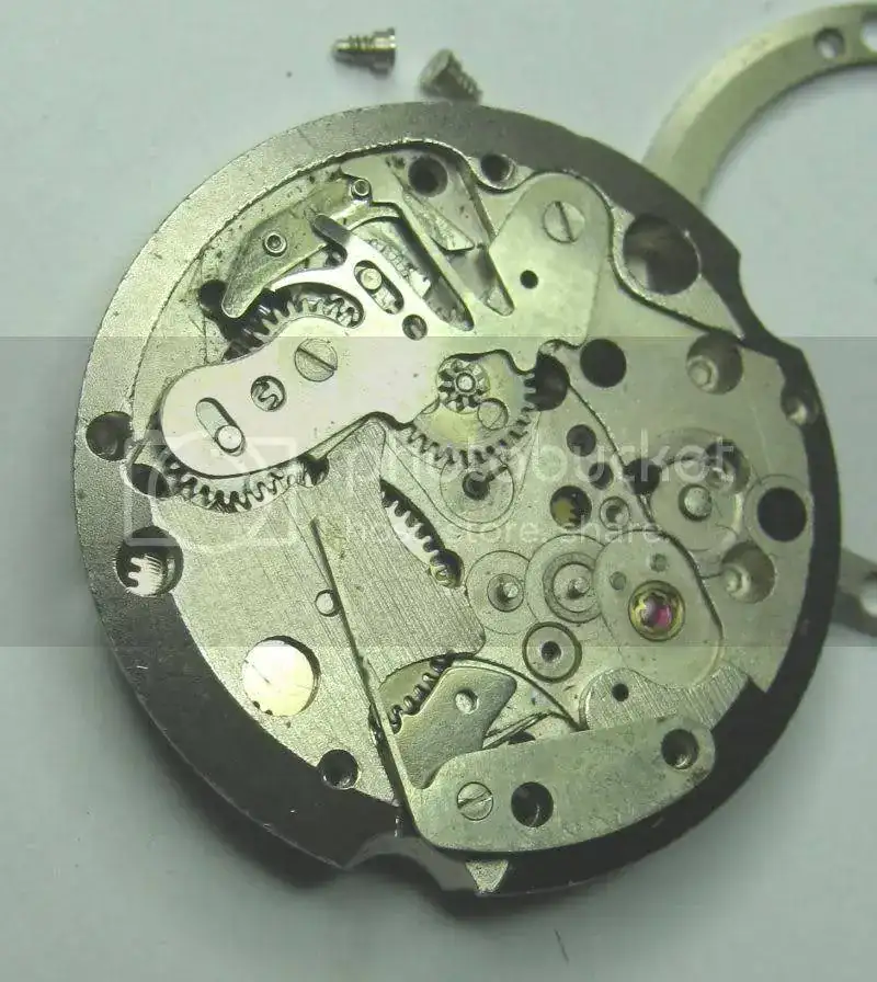 Oris1-1.webp