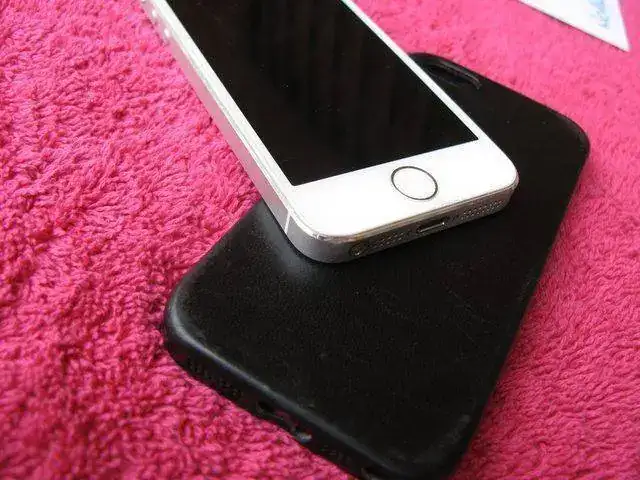 osmQO5Rl.webp