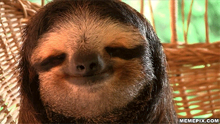 oso-perezoso.gif