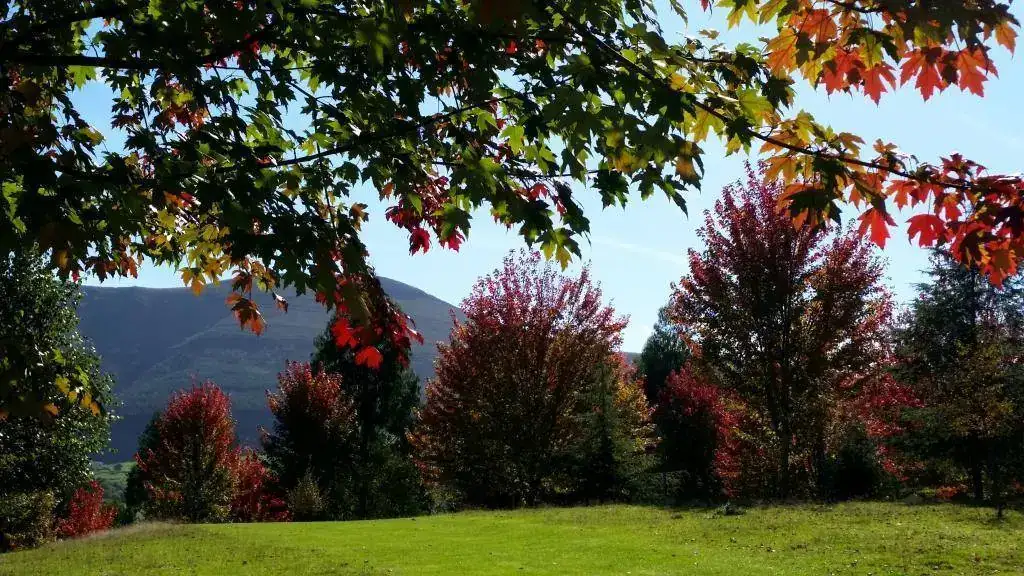 otoño.webp
