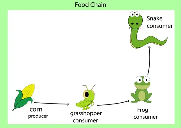 otos_87504428-stock-illustration-foog-chain-vector.webp