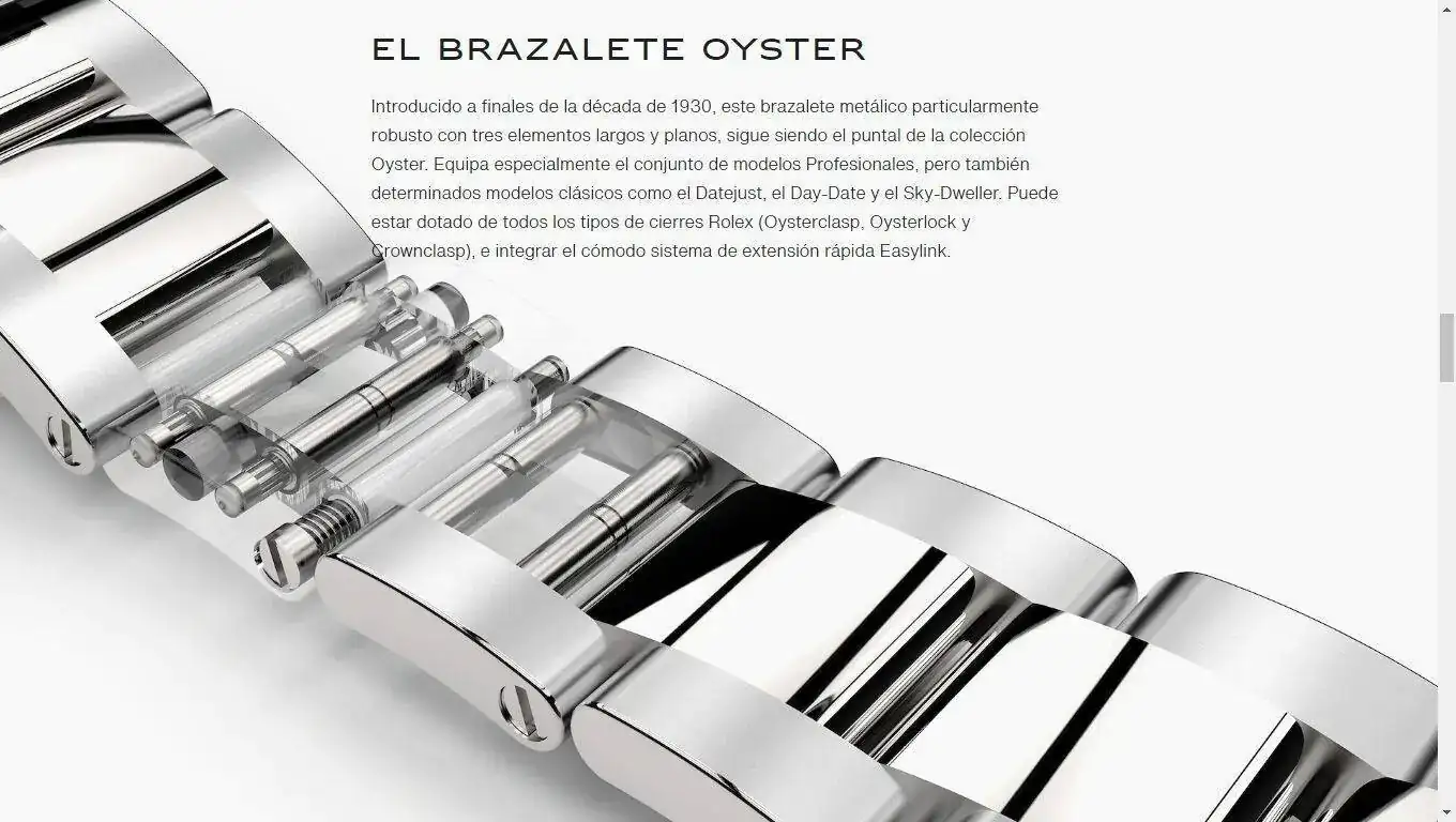 oyster.webp