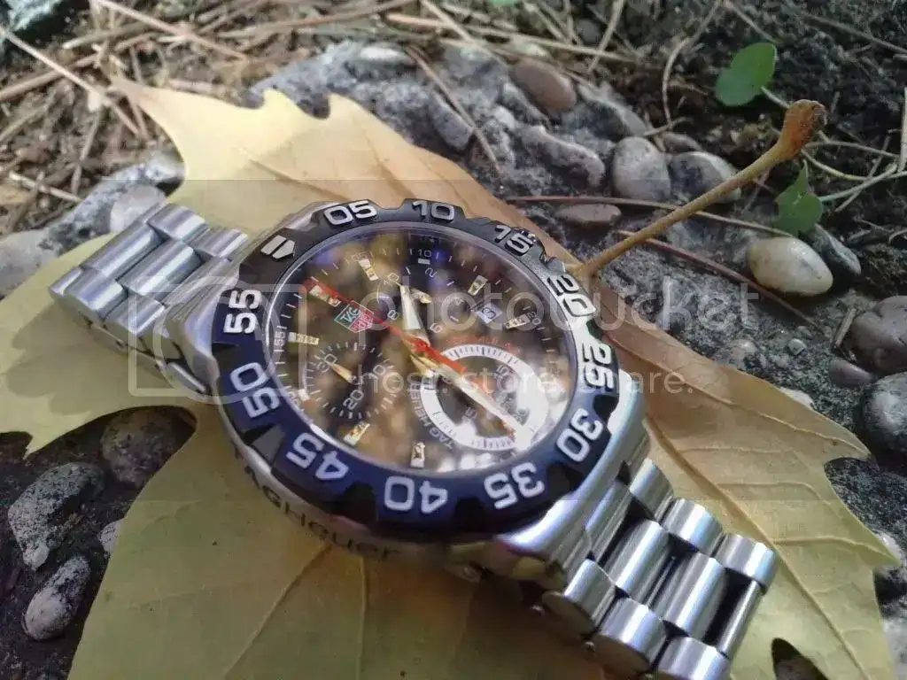 P031209_13310004.webp