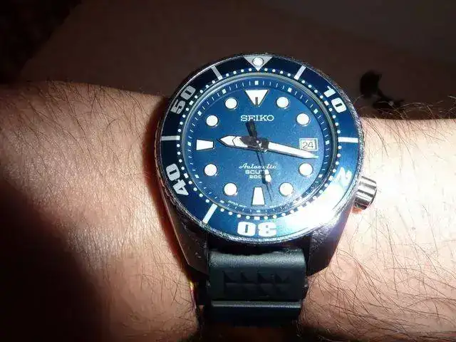 p1000050y.webp