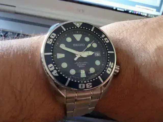 p1000079v.webp