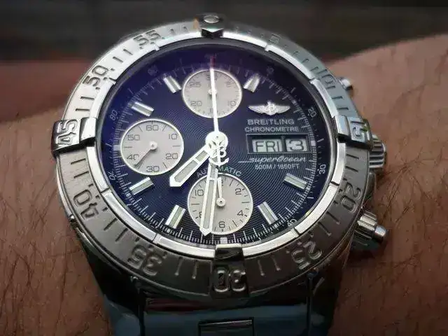 p1000180f.webp