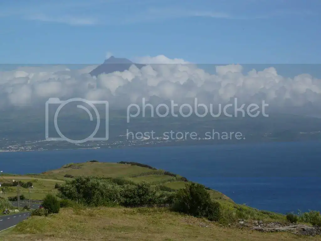 P1000368-1.webp