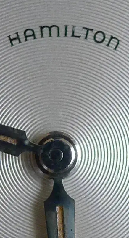 P1000813 copia2.webp