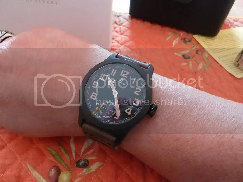 P1000904_zpsfuxa1ynq.webp