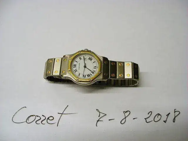 P1010002.webp