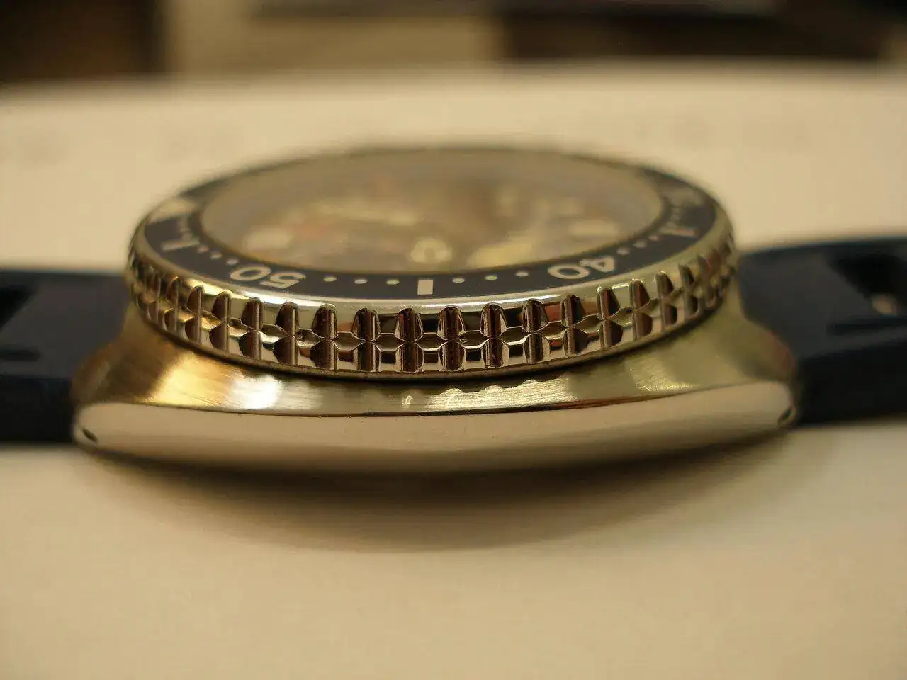 P1010005.webp