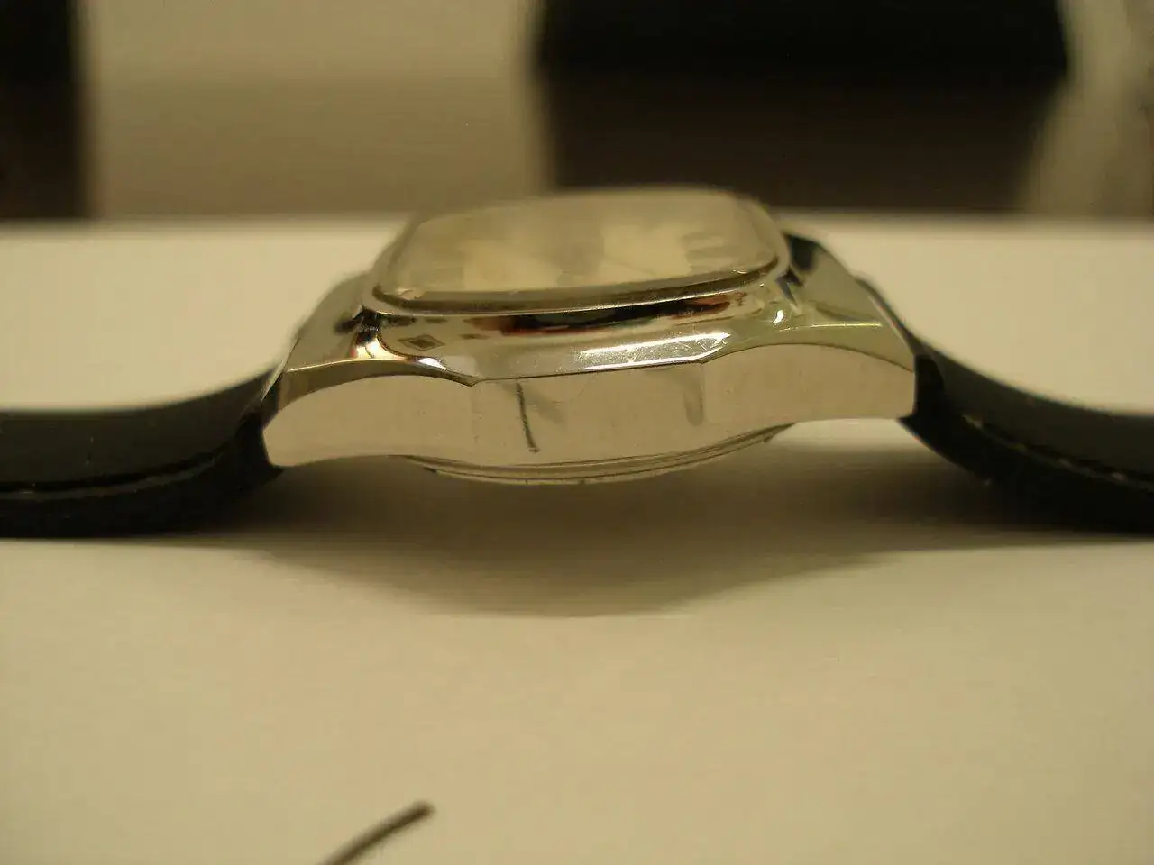 P1010005.webp