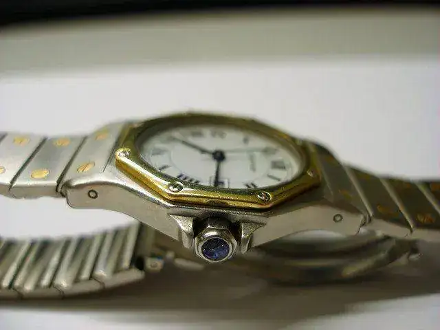 P1010009.webp