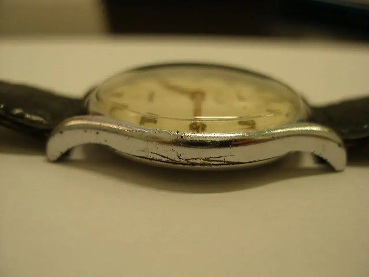 P1010011.webp
