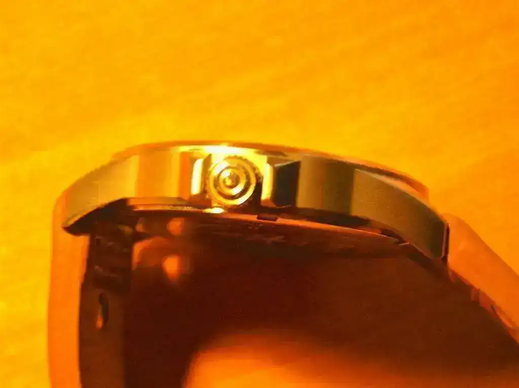 P1010221.webp