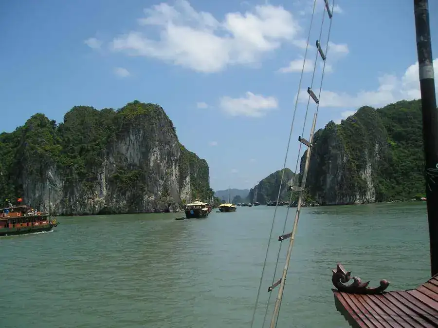 P1010230.webp