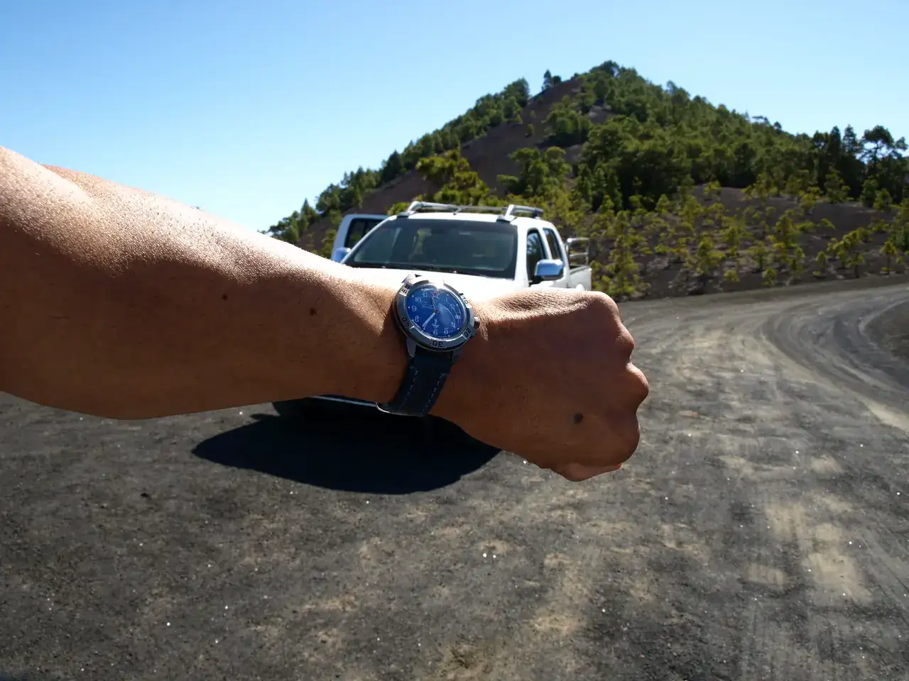 P1010247.webp