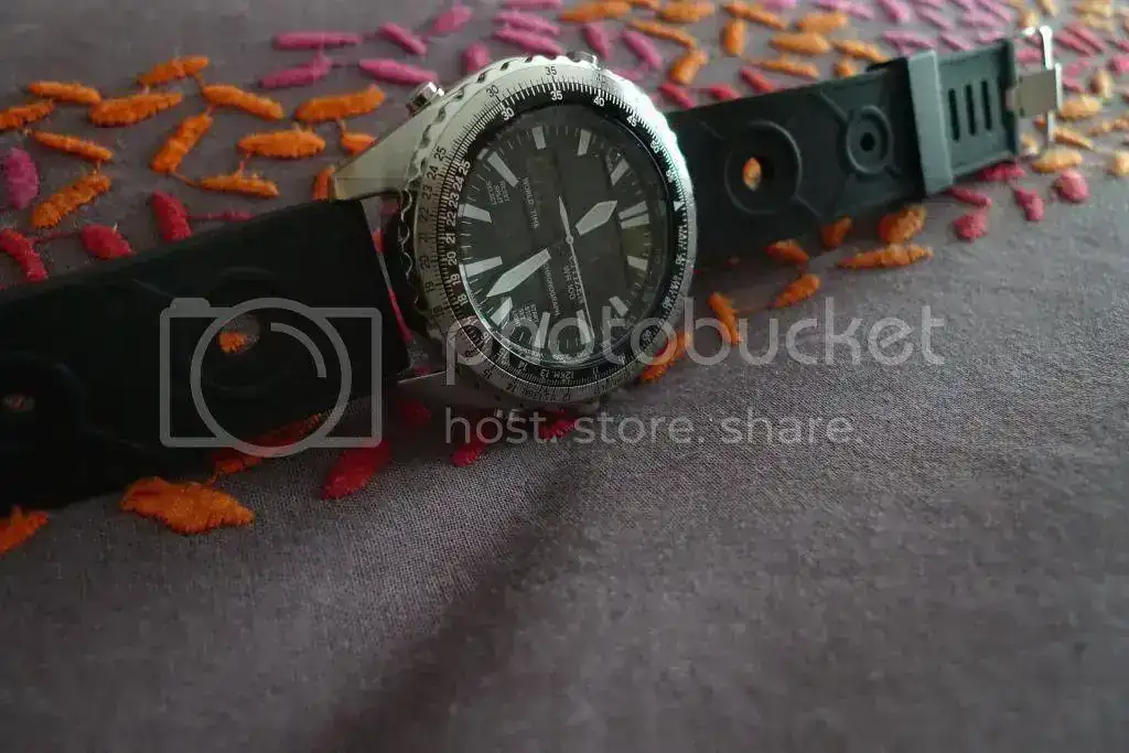 P1010287_zps02fd351f.webp