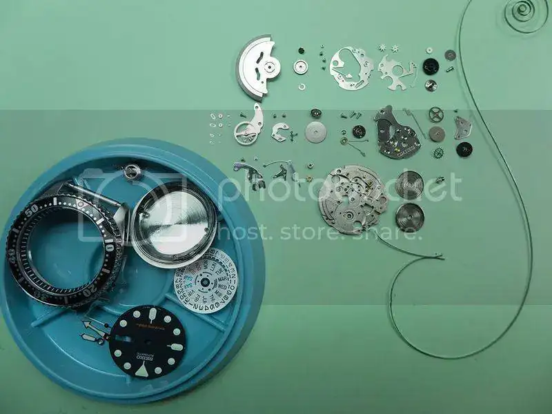 p1010429a.webp