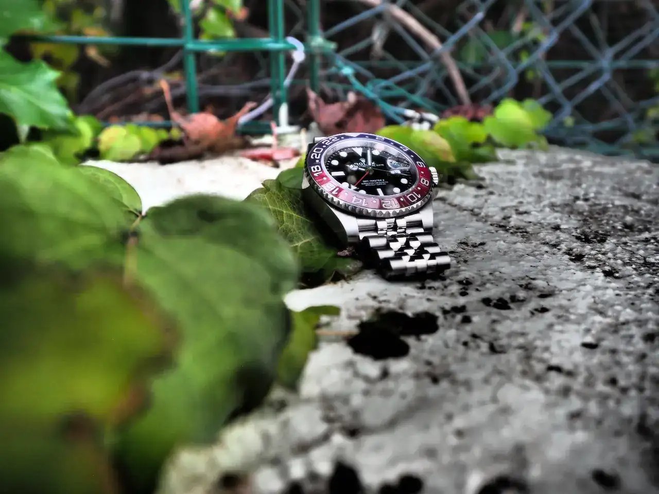 P1010670.webp