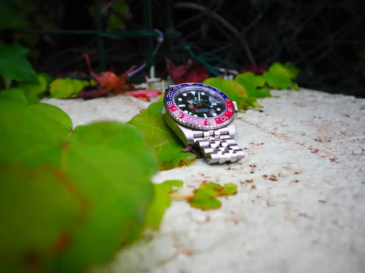 P1010678.webp