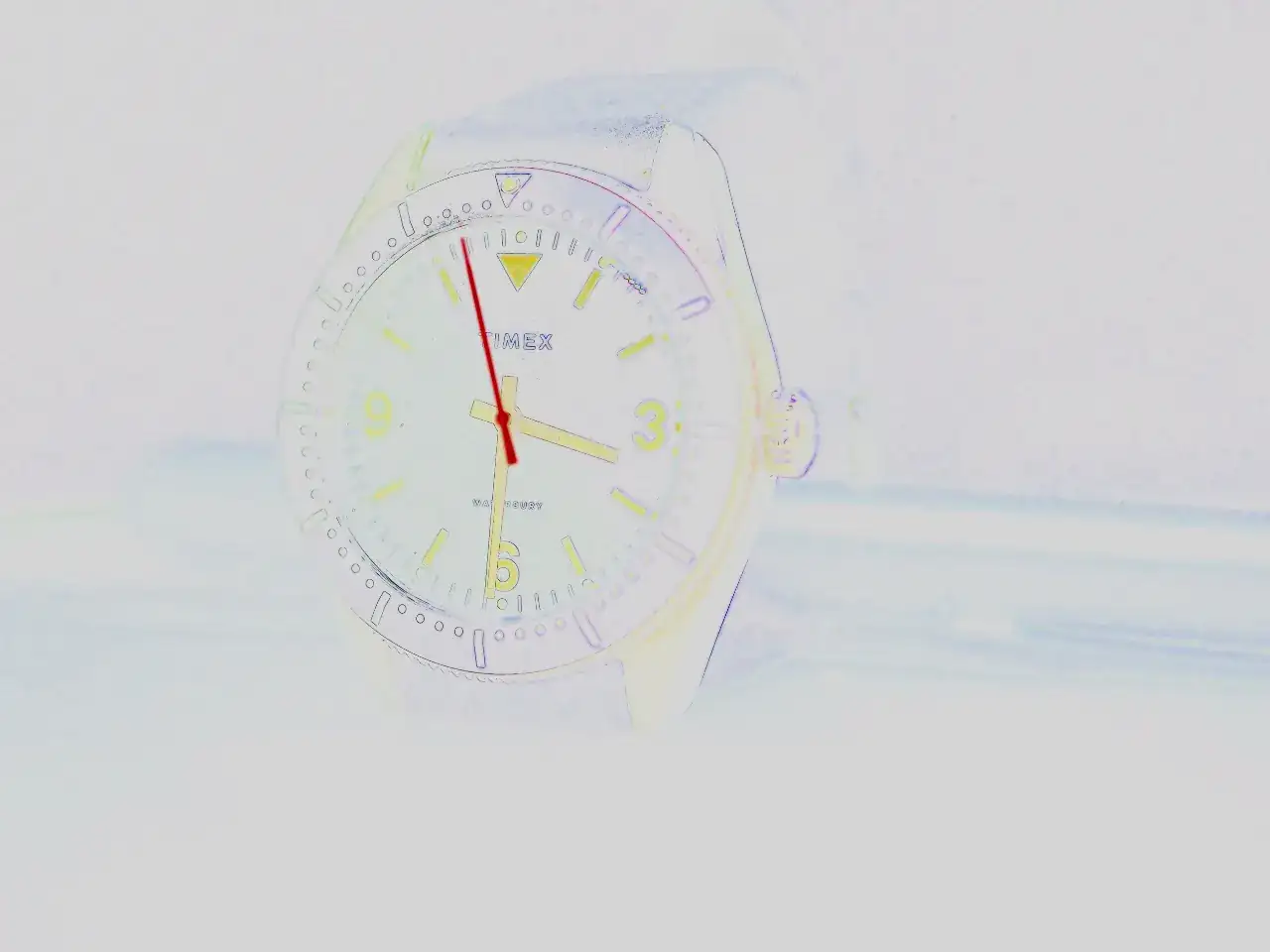 P1010770 (1).webp