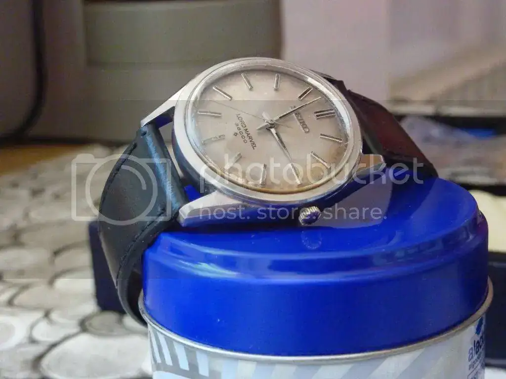 P1010845.webp