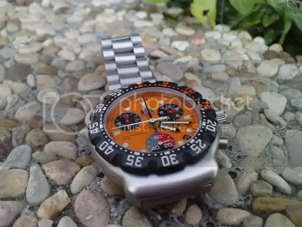 P101109_16180002.webp