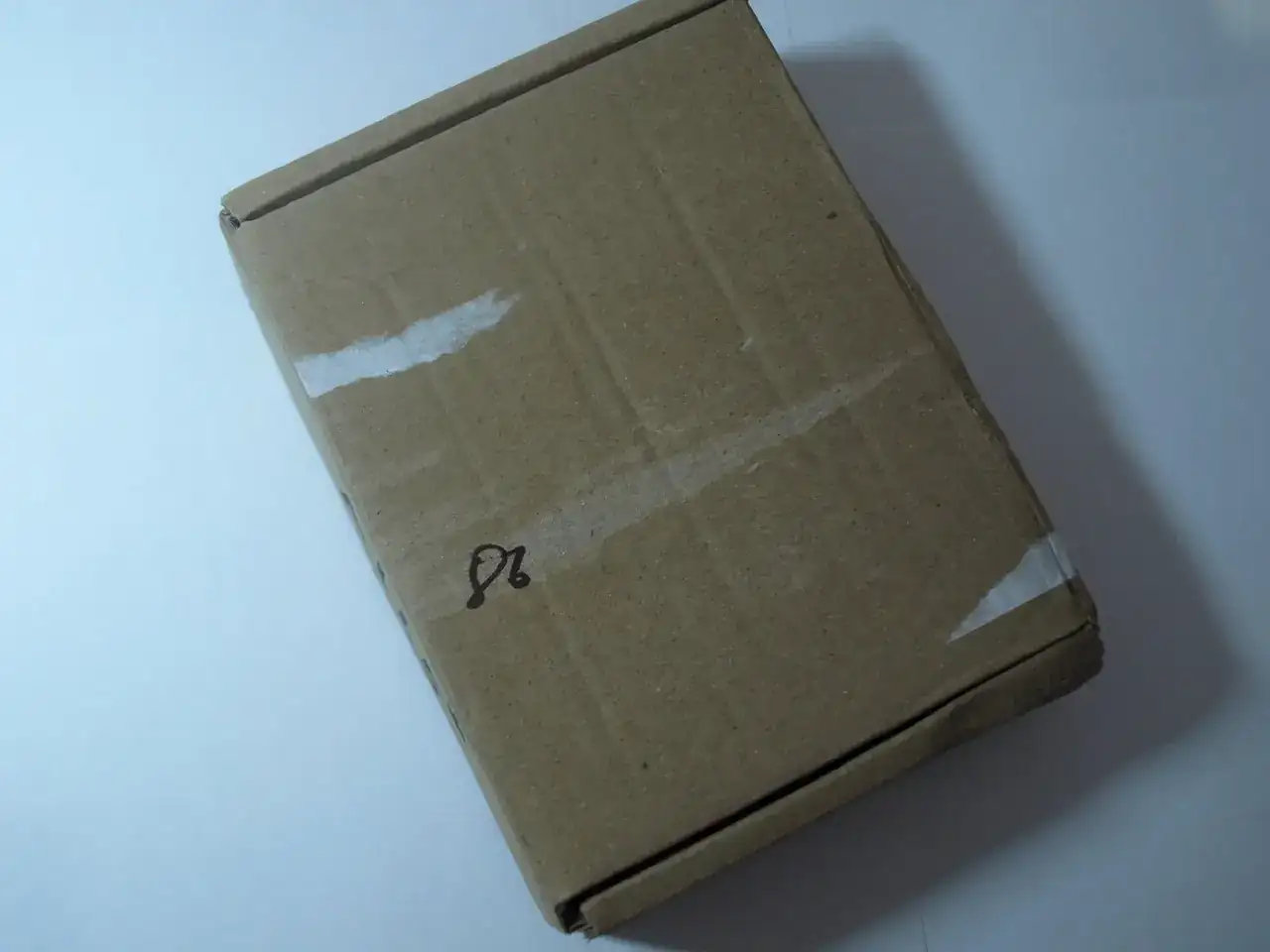 P1019925.webp