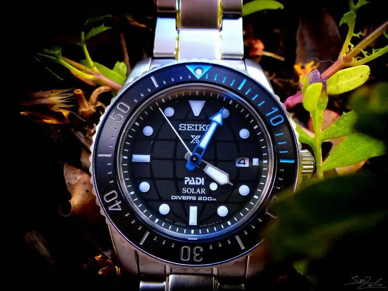 P1020136col2.jpg