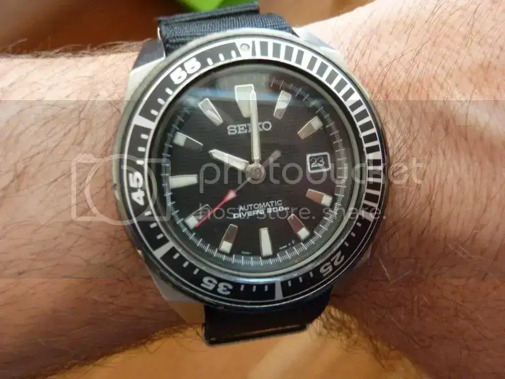 P1020286_zps1a125df4.webp