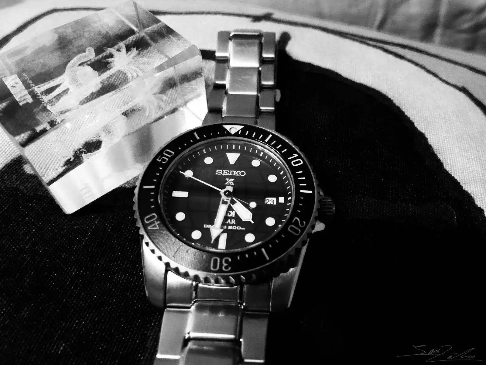 P1020308bn.webp