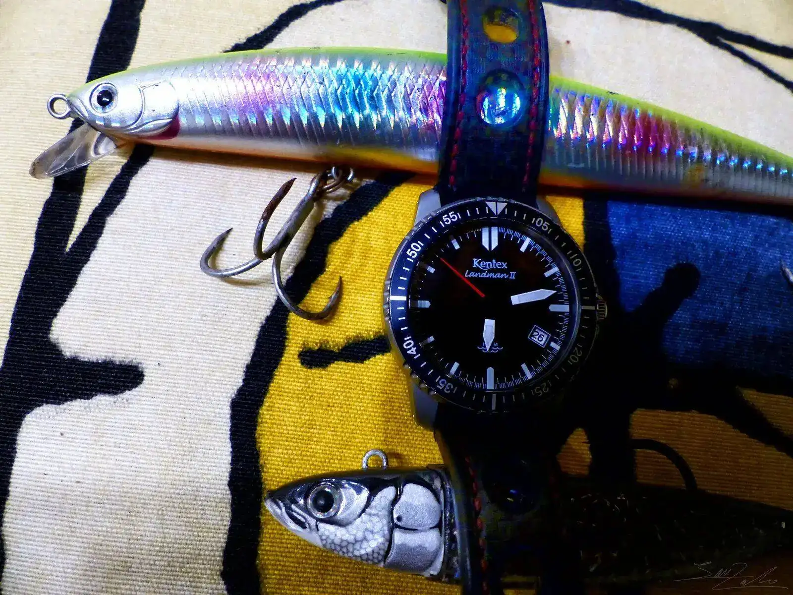 P1020366col.webp