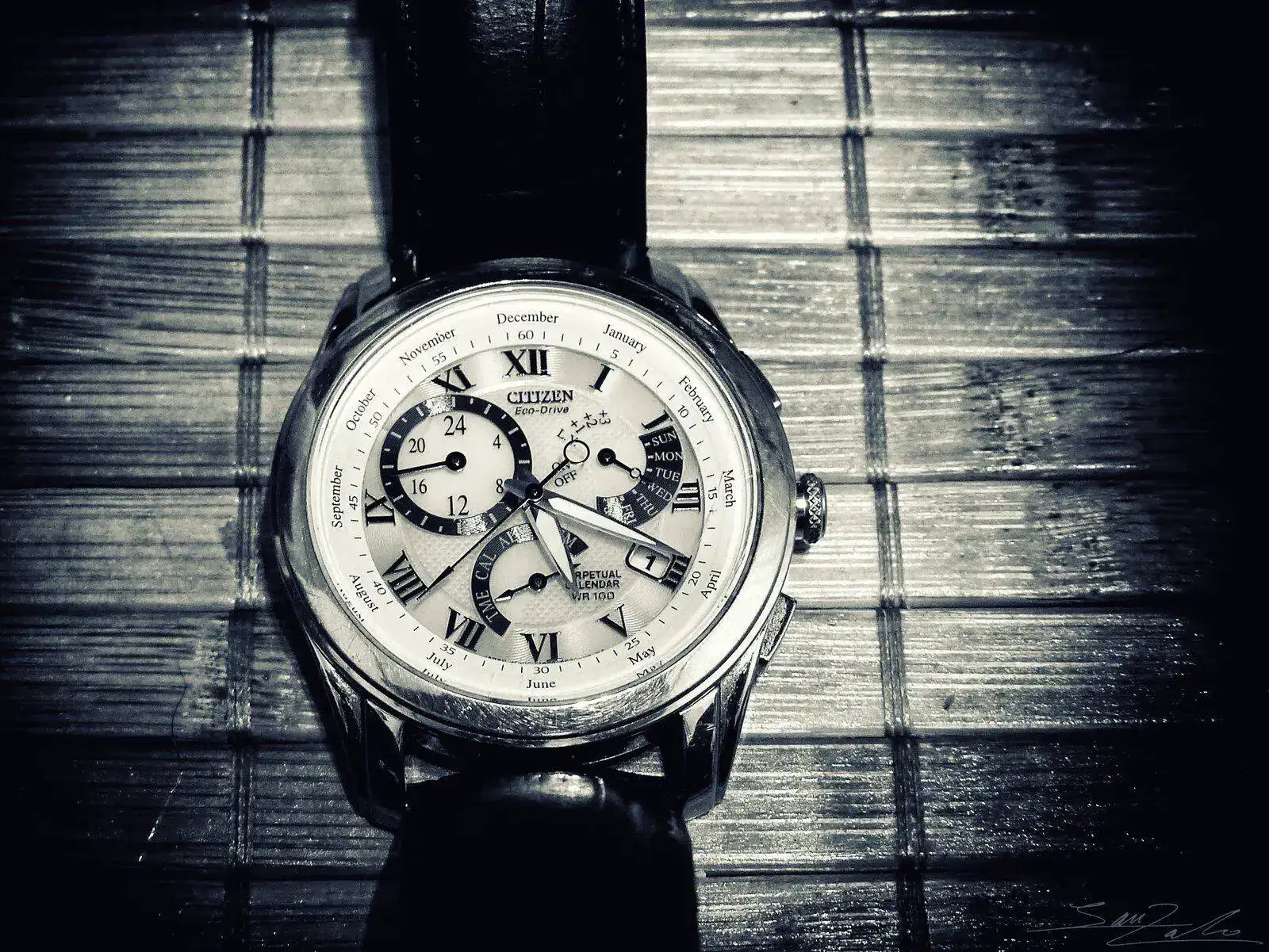 P1020390bn.jpg