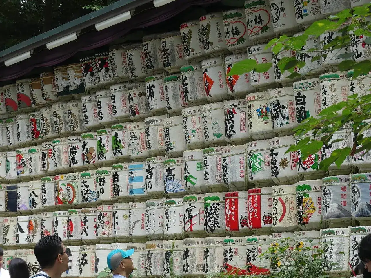 P1020464.JPG