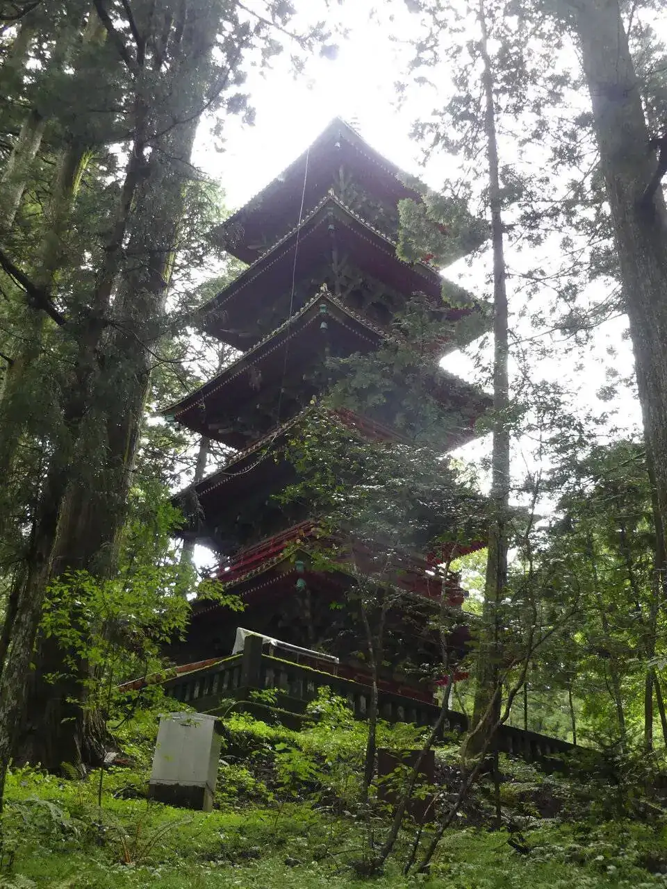 P1020743.JPG