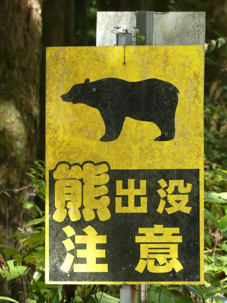 P1030163.JPG