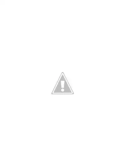P1030334.webp