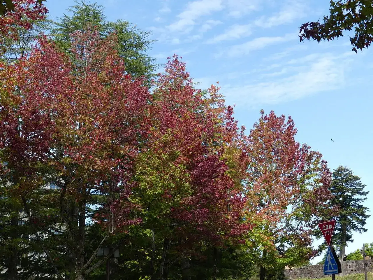 P1030430.JPG