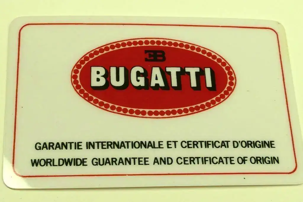 P1030571 còpia.webp