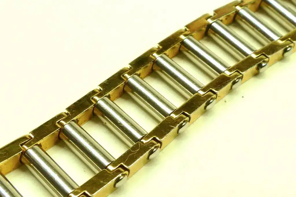 P1030586 còpia.webp